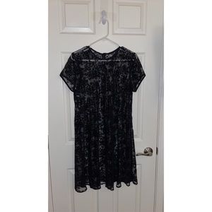 vintage velvet rose sheer dress